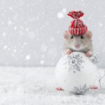 Rodent-Proofing Your Home in Winter