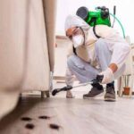 Pest Control Services