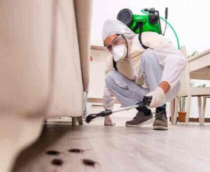 Pest Control Services