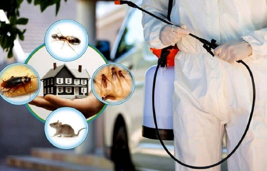 Preventive Pest Control